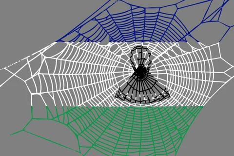 3D Flag on spider web 스톡 사진