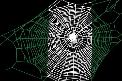 3D Flag on spider web Stock Photos