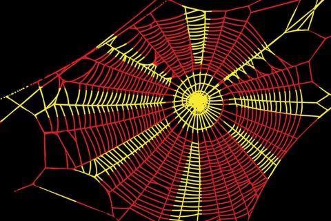3D Flag on spider web Stock Photos