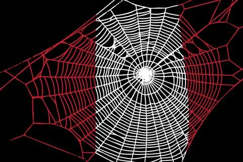 3D Flag on spider web Stock Photos