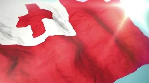 3d flag Tonga Stock Footage 10758405