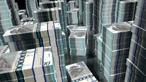 3d flight over Botswana 100 pula money banknote packs loop Stock Footage 329610383