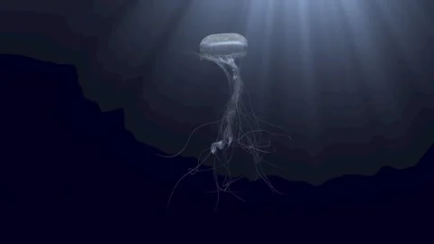 3d floating Jellyfish animation for Hologram Stock Footage 294704841