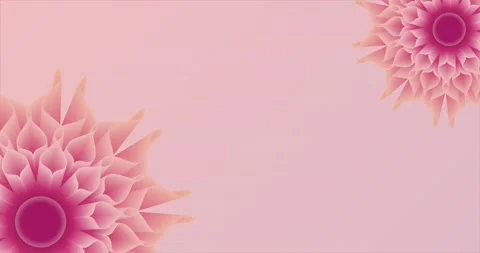 3D floral abstract background, 3d flowers sakura Stock Footage 217676904