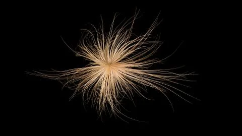 3d flower form with graceful waving tendrils. Thick density. Wide view Stock Illustration