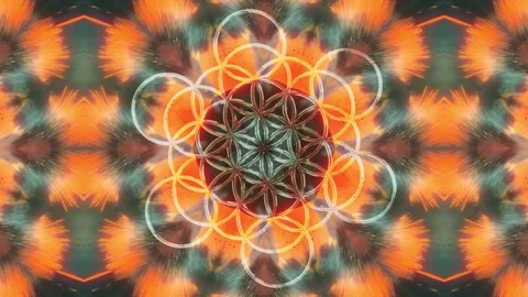 3D Flower of Life Fractal Loop - Sacred Geometry Mandala VJ 4K60 動画素材 333524760