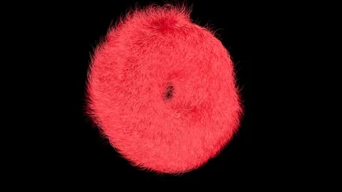 3D fluffy abstract red figure. 3D animation, weightlessness and randomness. Stock Footage 312277403
