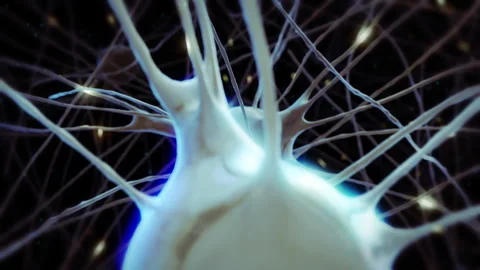 3d flying through the human nervous system with pulsing nerve cells and axons Stock Footage 166031673