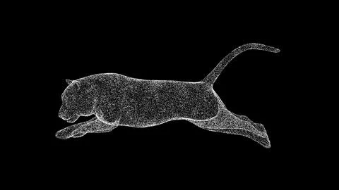 3D flying tiger on black bg. Object dissolved white flickering particles. B.. Ilustração Stock