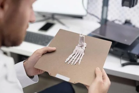 3D Foot Bone on Print Bed in Technicians Hands Stock Photos