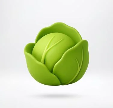 3D Fresh green head of cabbage 스톡 일러스트