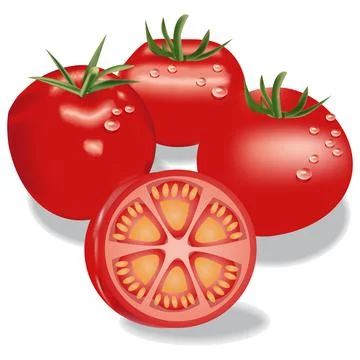 3D Fresh Red Tomato Vector Illustration Stock Illustration