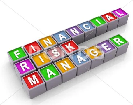3d frm - financial risk manager Stock Illustration