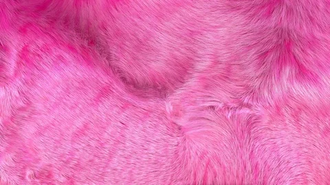 3D generated, pink, waving fur background 4K Stock Footage 129896067