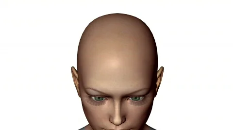 3d girl head morphing Stock Footage 282575