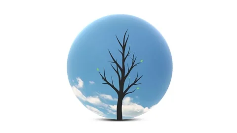 3d glass orb with sky and growing up tree Vídeos de archivo 229616956