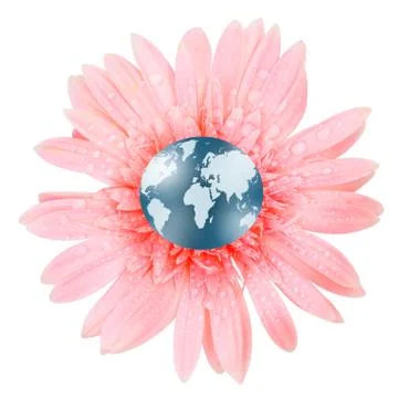 3d globe in gerbera Stock Photos
