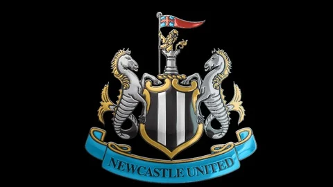 3d glossy intro of the UK Premier League football-soccer team Newcastle Vidéo 127727161