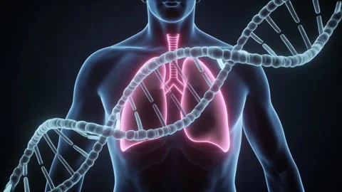 3D Glowing Human Lungs and Rotating DNA 動画素材 338321524