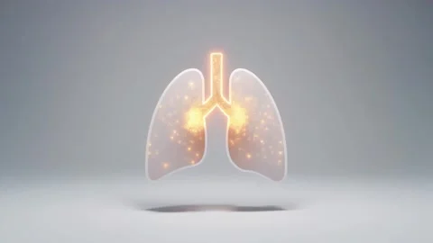 3D glowing human lungs respiratory animation 스톡 동영상 338321475