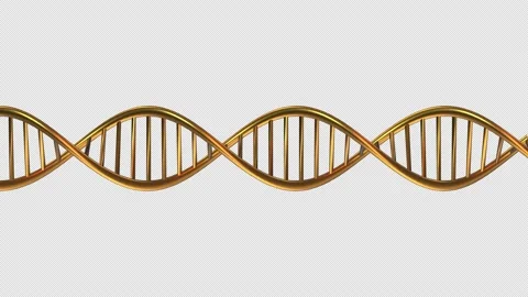3d golden DNA model rotating on alpha channel background. Stock Footage 141150095