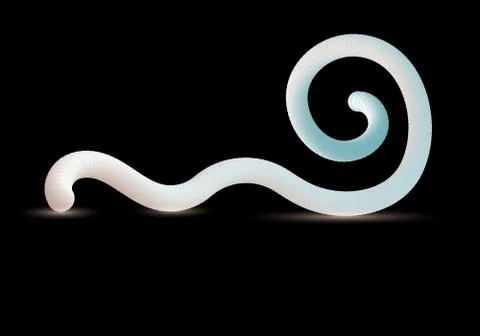 3d gradient liquid effect.Fluid, dynamic,vibrant Illustrazione stock