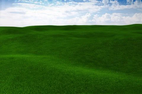 3d grass field and perfect sky Illustration