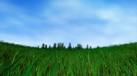 Vibrant roblox gfx with green grass landscape and blue sky