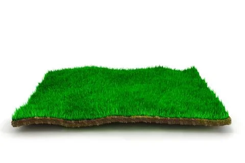 3d grass lawn, on white background Stock Illustration