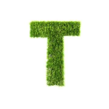 3d grass letter isolated on white background - T Illustrazione stock
