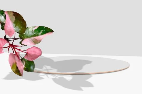 3d gray background product display podium scene with leaf shadow indoor platf Stock Illustration