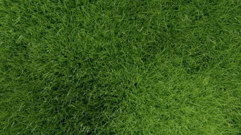 3d green grass background texture. Stock Illustration