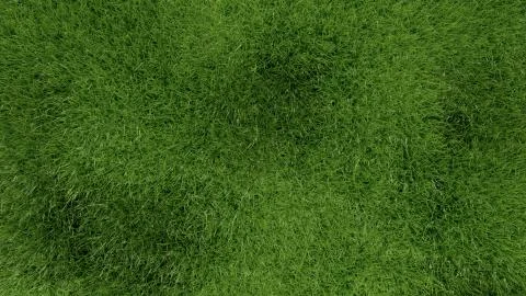 3d green grass background texture. Stock Illustration