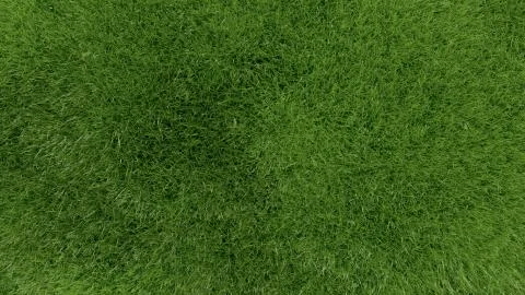 3d green grass background texture. Stock Illustration