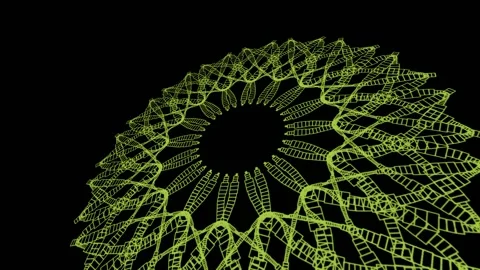 3d Green Mandala view Stock Footage 204779694