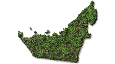 3d green map of United Arab Emirates Stock Footage 293491548