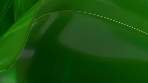 3D green translucent abstract wave wallpaper background. Shiny curved organ.. Stockillustratie