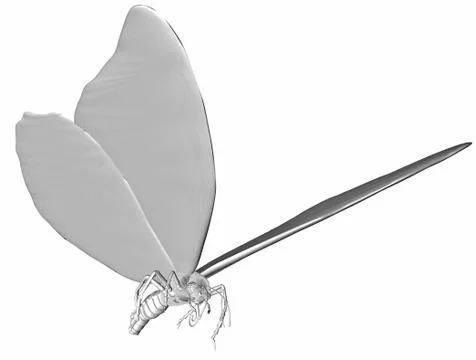 3d greyscale butterfly Stock Photos