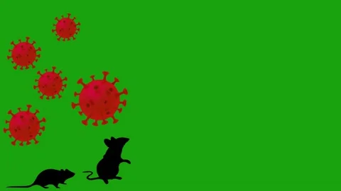 3D Hantavirus Particle on Chroma Key Green Screen Background Stock-Footage 335358744
