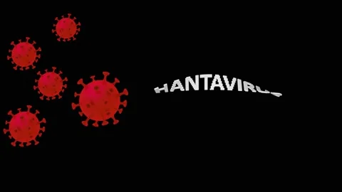 3D Hantavirus Text Spinning With Red Virus Particles Stock-Footage 335352505