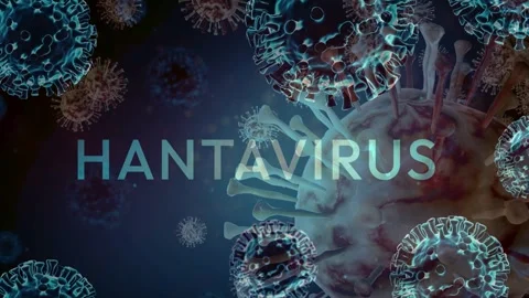 3D Hantavirus Text Title With Floating Microscopic Virus Particles Vídeo Stock 336013285