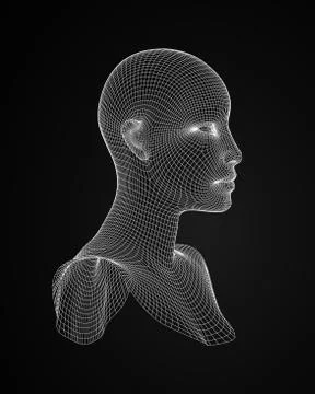 3d head wireframe vector. Drawing of wireframe head 3d model. Vector Stock Illustration