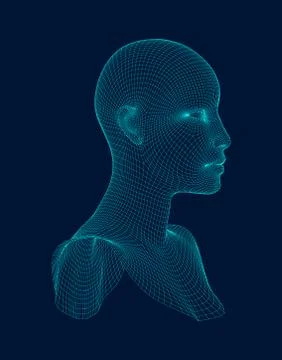 3d head wireframe vector. Drawing of wireframe head 3d model. Vector Stock-Illustration