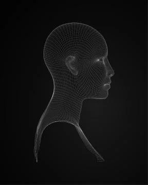 3d head wireframe vector. Drawing of wireframe head 3d model. Vector Illustrazione stock
