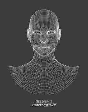 3d head wireframe vector. Drawing of wireframe head 3d model. Vector Stock-Illustration