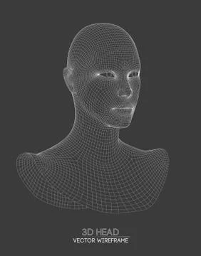 3d head wireframe vector. Drawing of wireframe head 3d model. Vector Stock Illustration