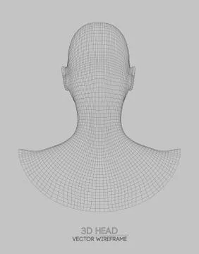 3d head wireframe vector. Drawing of wireframe head 3d model. Vector Illustrazione stock