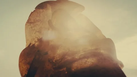 3d Heads on the surface of another planet reflecting off the sunlight Stock Footage 255763114