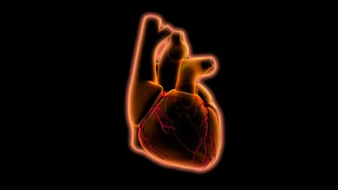3D heart looping turn around 스톡 동영상 95876977