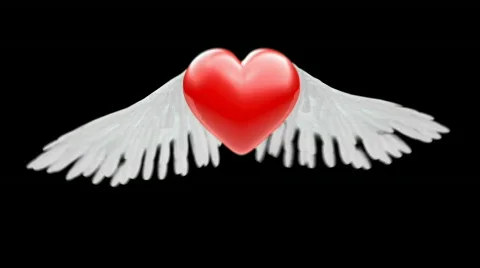3D heart with wings Stock Footage 647745